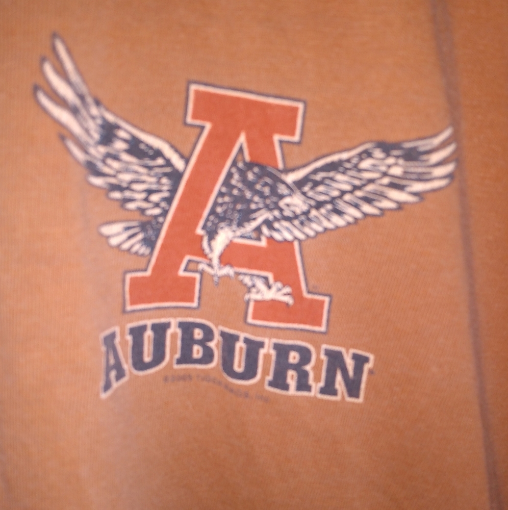 Tiger Rags Vintage Ringer Tee